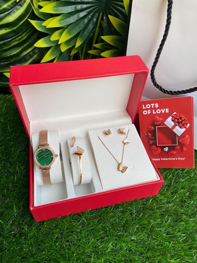 Ladies watch set